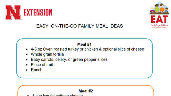 Easy, On-the-Go Family Meals handout thumbnail