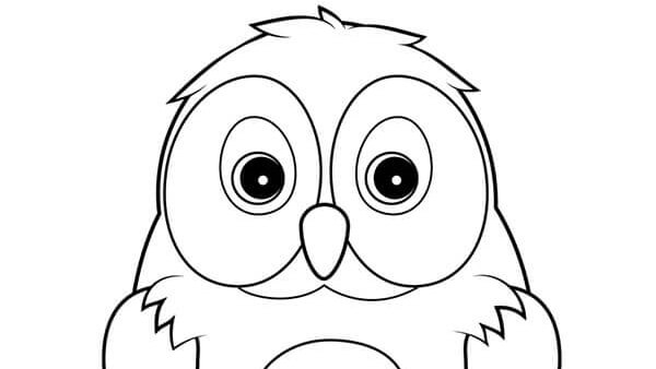 Owl Coloring Activity handout thumbnail