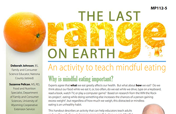 The Last Orange on Earth handout thumbnail