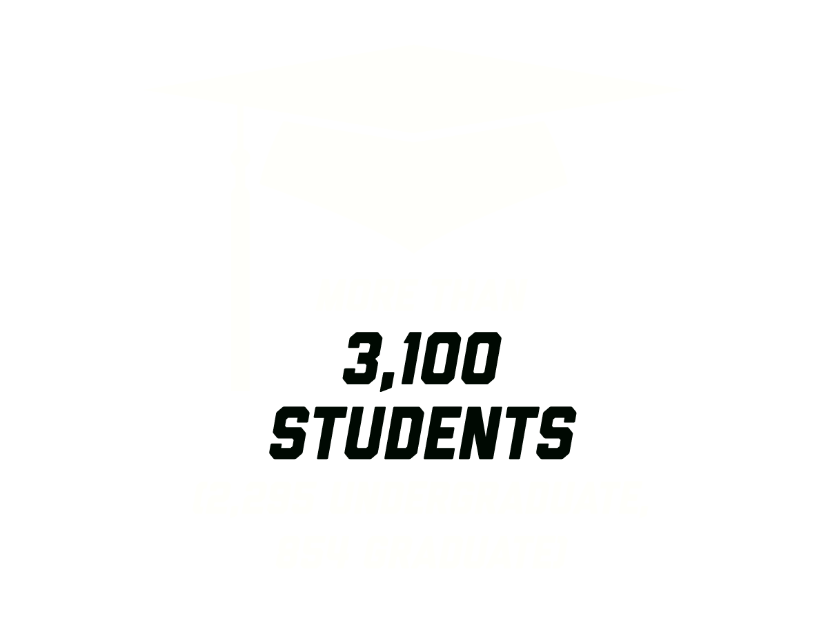 More than 3,100 students (2,295 undergraduate, 854 graduate)