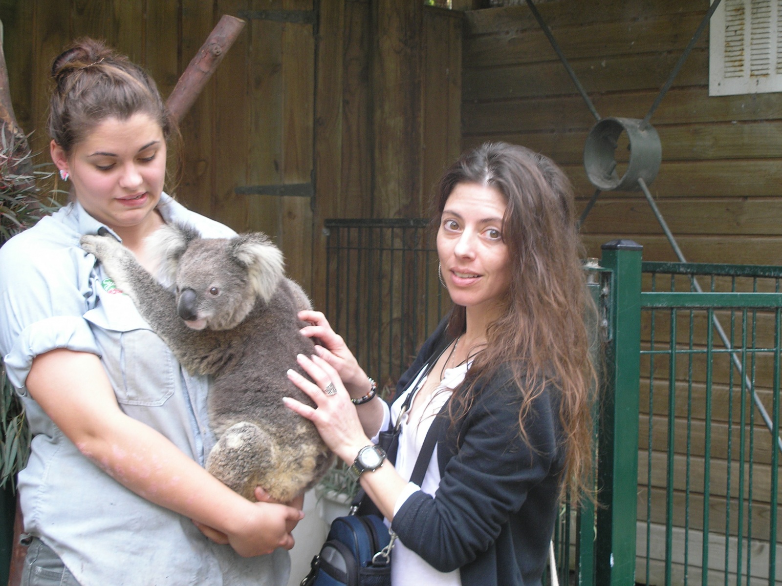 Rochelle With Koala