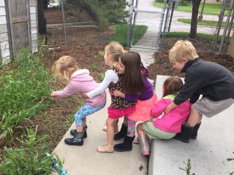 Kids pulling weeds.
