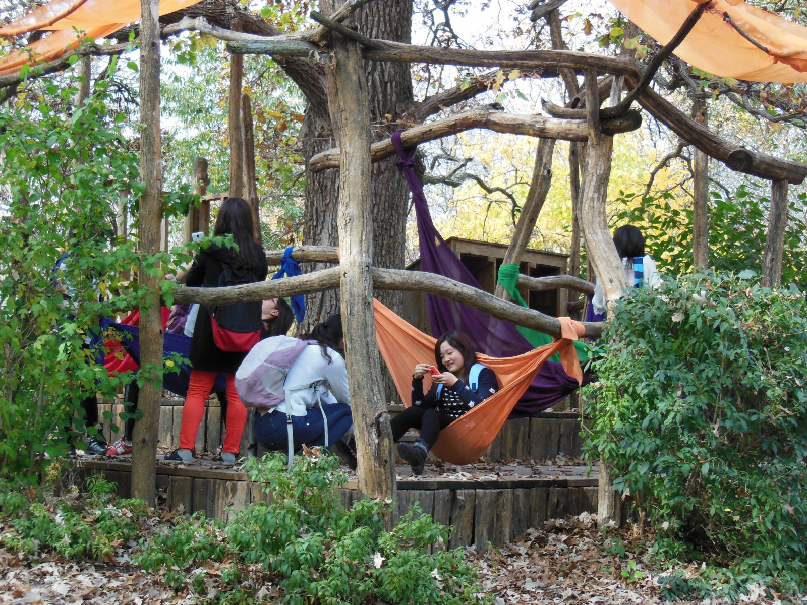 Visiting students in tree fort