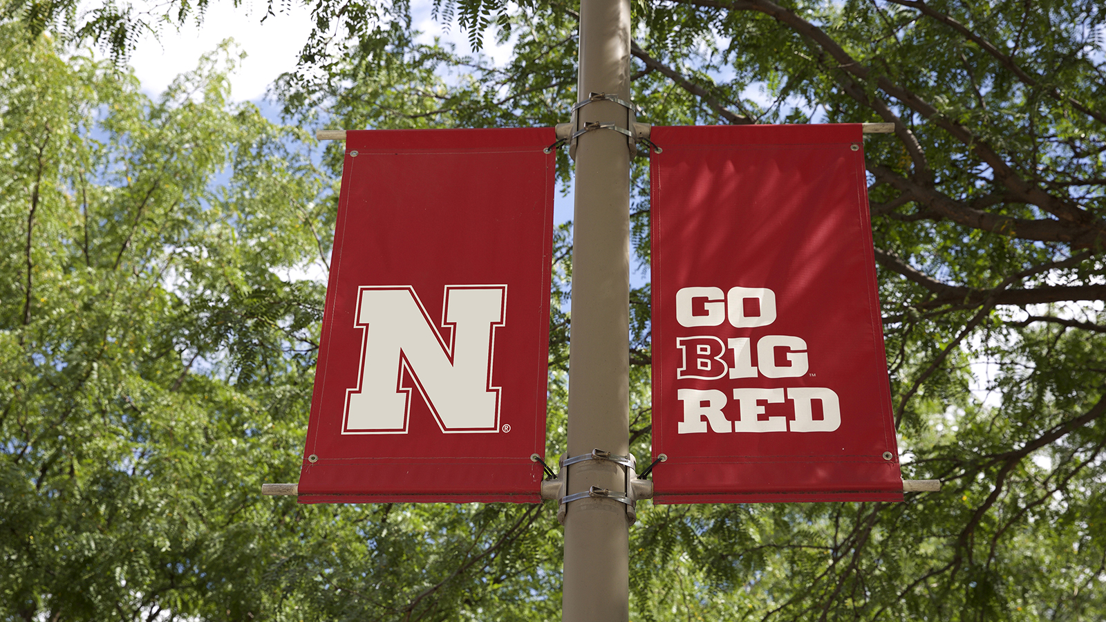 red banners on a lightpole surrounded by trees, left has a white N and right reads GO B1G RED