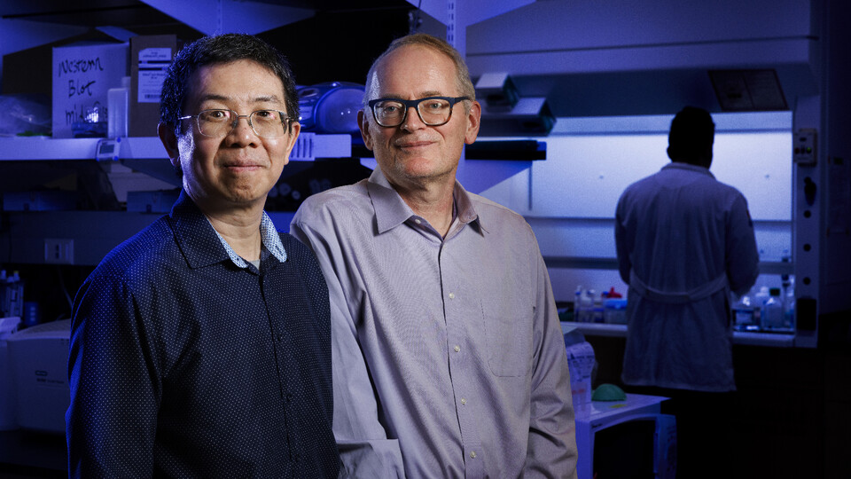 iantao Guo (left), professor of chemistry, and Janos Zempleni, Willa Cather Professor of molecular nutrition, pose for a photo in the research lab. Photo by Craig Chandler, University Communication and Marketing.
