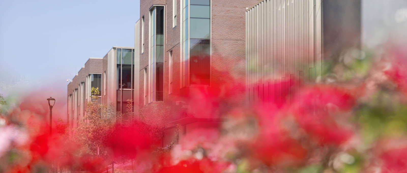 CPEH Exterior with Flowers in foreground.