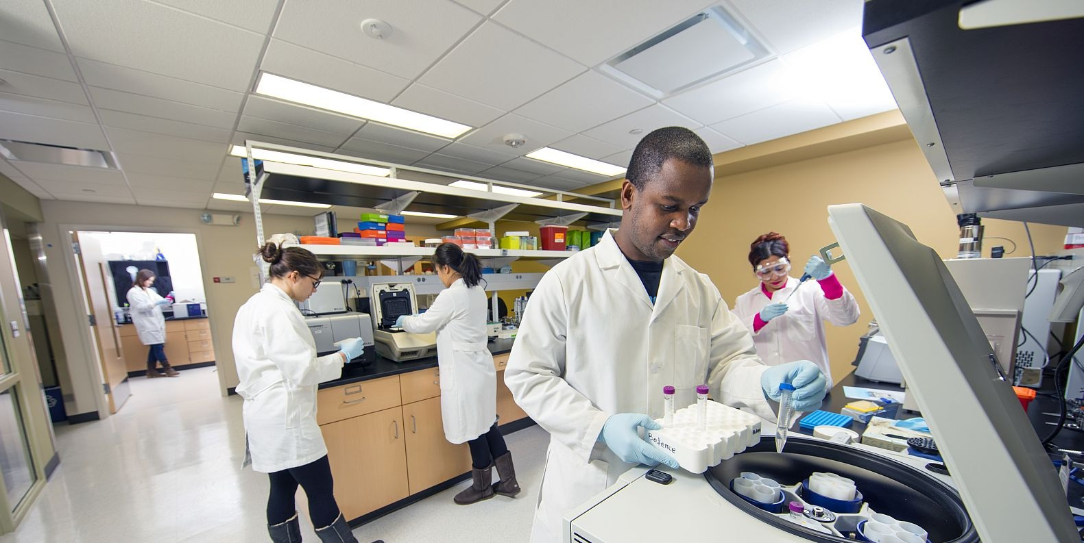 Students working in a lab.