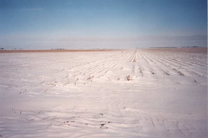 Fall Field