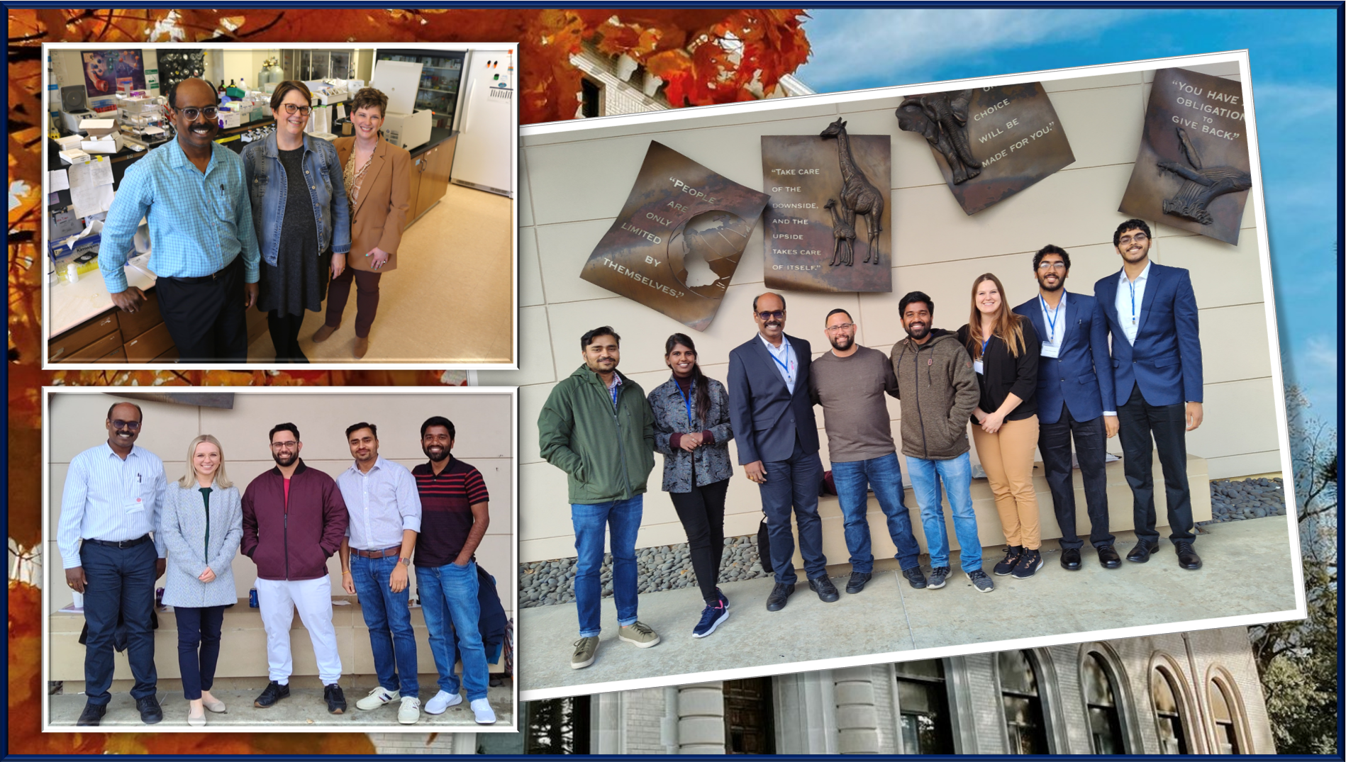 Natarajan Lab collage