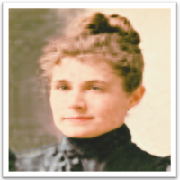 Rosa Bouton 1898