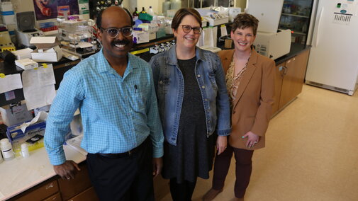 Study eyes macadamia nuts for prevention of maternal complications