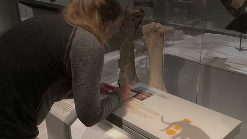 Student looking at something.