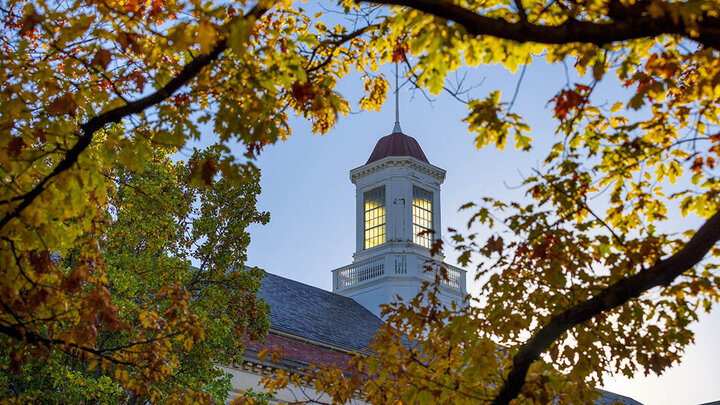 Fall foliage with the top of a building in the background.