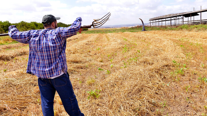 Farmer standing in a field.