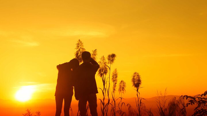 The shadows of two individuals standing outdoors watching the sun set. 