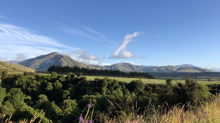 New Zealand landscape