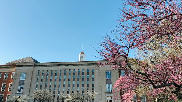 Spring Library photo