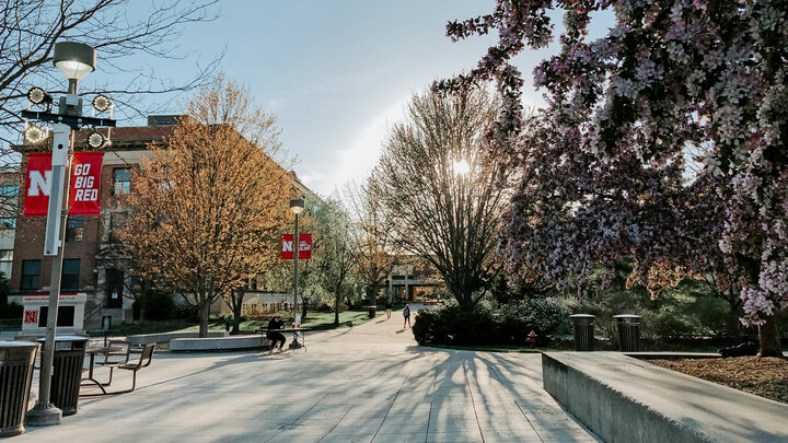 Campus sunset. 