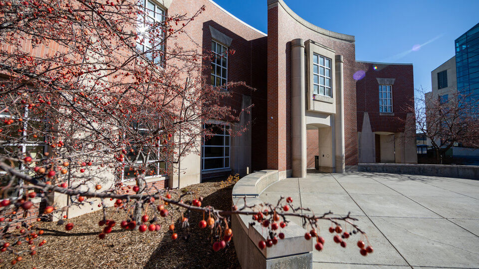 Shot of teachers college hall with tree in foreground.