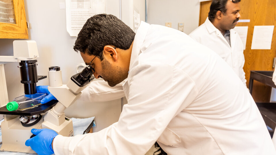 Man looking in Microscope