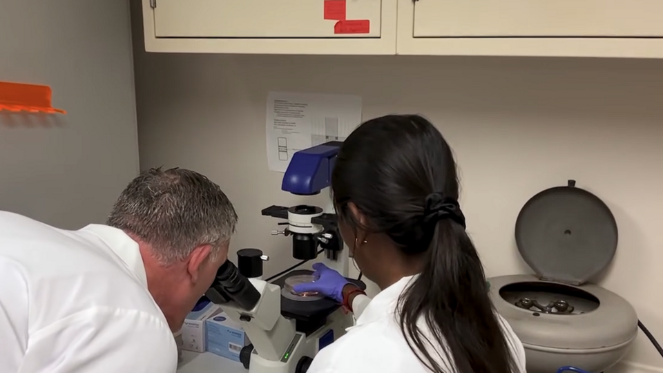 Natarajan Lab 2025