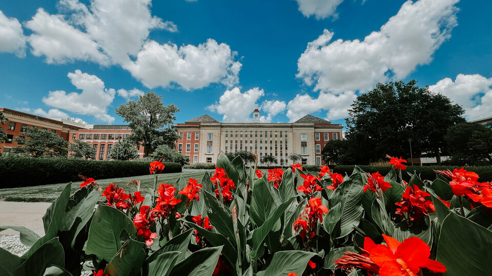 Love Library with red flowers