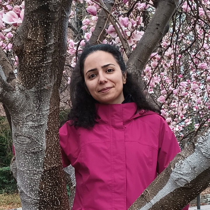 Avatar for Azadeh Hassani