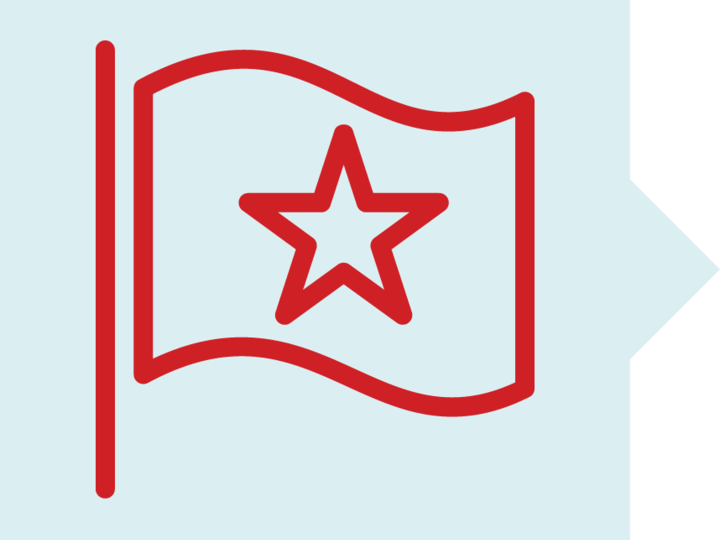 Flag Icon