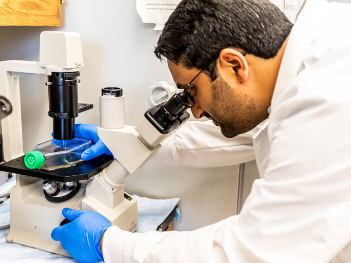 researcher looks in microscope