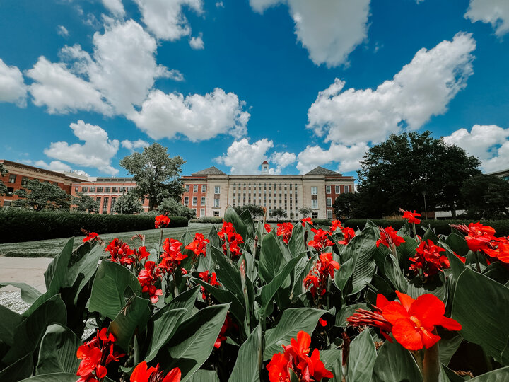 Love Library with red flowers