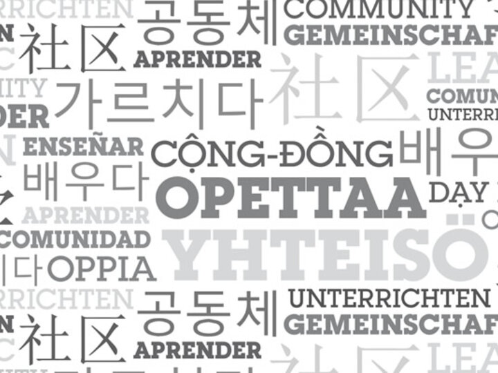 Text in many languages graphic