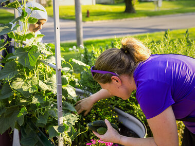 Community Garden