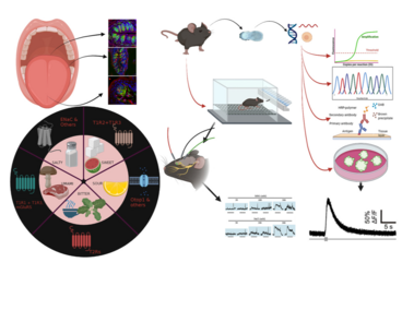 Sukumaran Lab 3