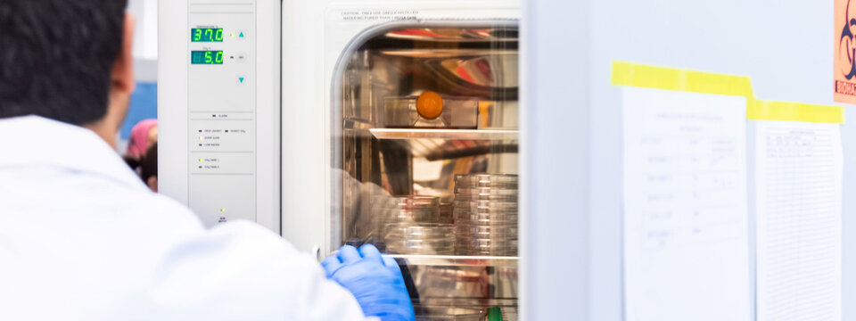 Person standing in front of lab equipment.