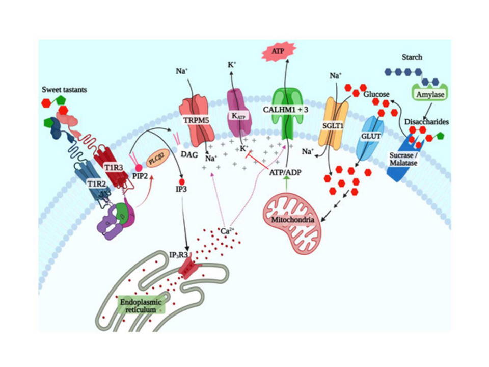 Sukumaran Lab 2