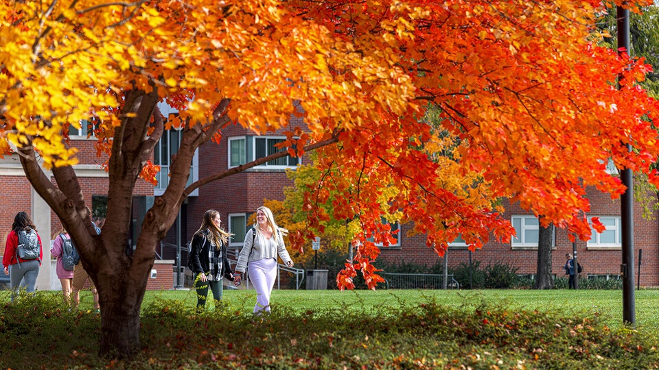 Students walking under a colorful fall tree.